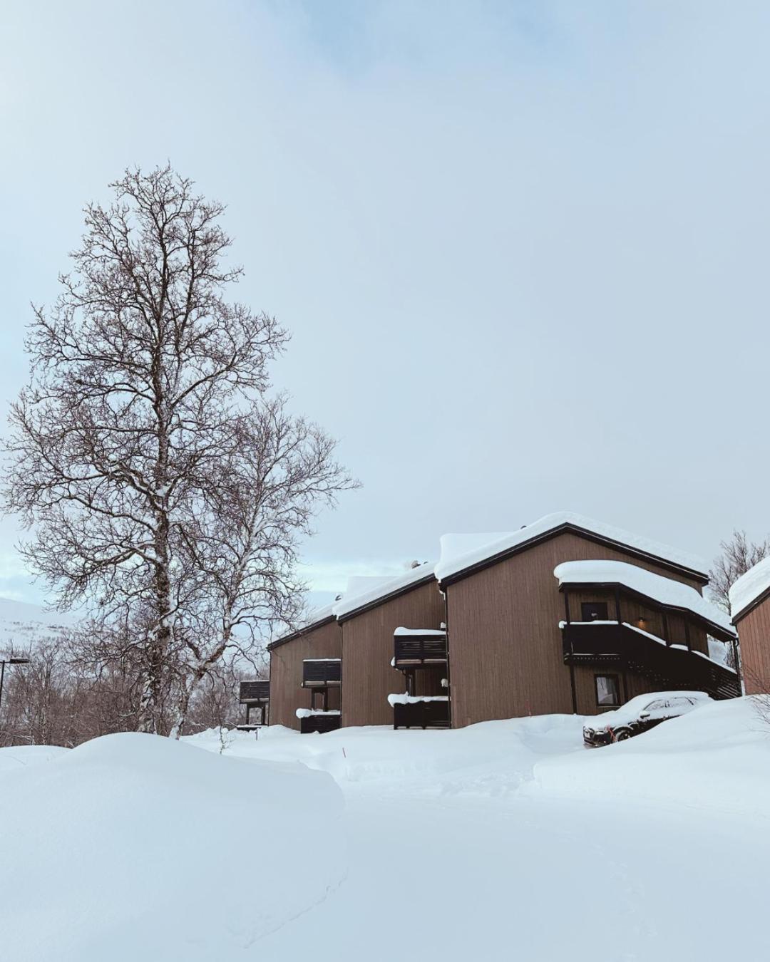 Skaidi Luxury Lodge - Heart Of The Arctic Hammerfest Exteriér fotografie